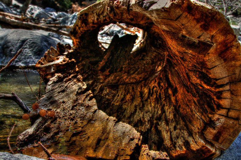 Big Rock Creek 2014